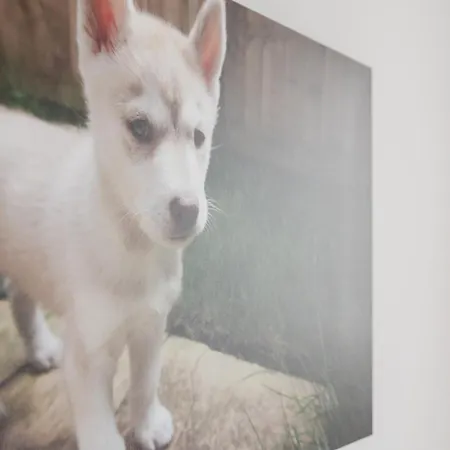 Lejlighed Tropea Court 2bed Penthouse In By Homely Sliema