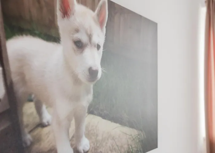 아파트 Tropea Court 2bed Penthouse In By Homely 슬리에마